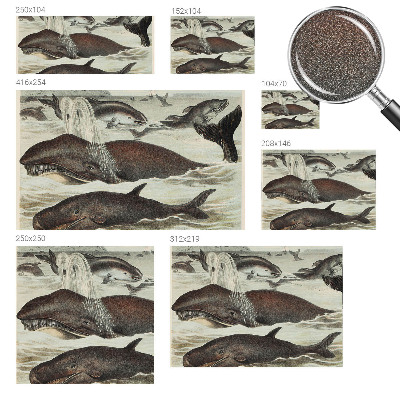 Fototapeta na ścianę Fototapeta na ścianę