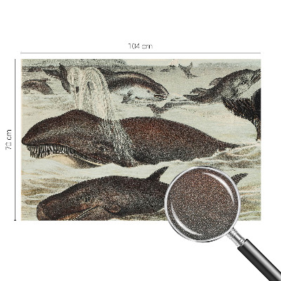 Fototapeta na ścianę Fototapeta na ścianę