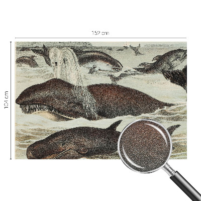 Fototapeta na ścianę Fototapeta na ścianę