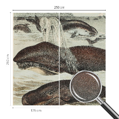 Fototapeta na ścianę Fototapeta na ścianę