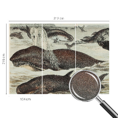 Fototapeta na ścianę Fototapeta na ścianę