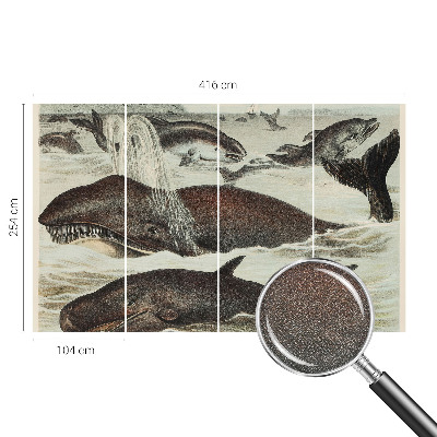 Fototapeta na ścianę Fototapeta na ścianę