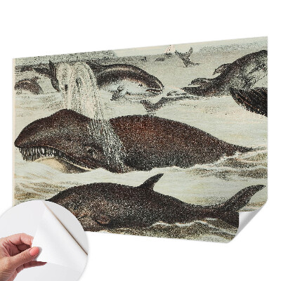 Fototapeta na ścianę Fototapeta na ścianę