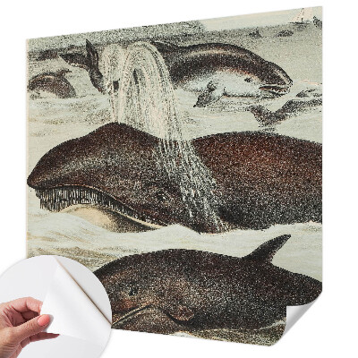 Fototapeta na ścianę Fototapeta na ścianę