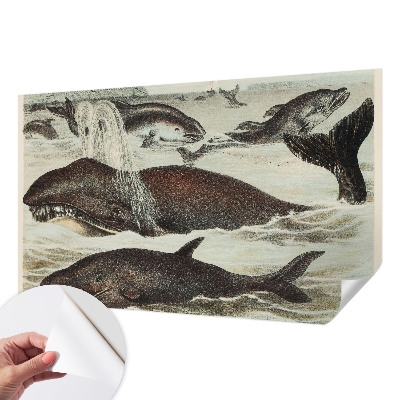 Fototapeta na ścianę Fototapeta na ścianę