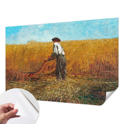 Fototapeta samoprzylepna do sypialni z motywem żniw w świetle słońca