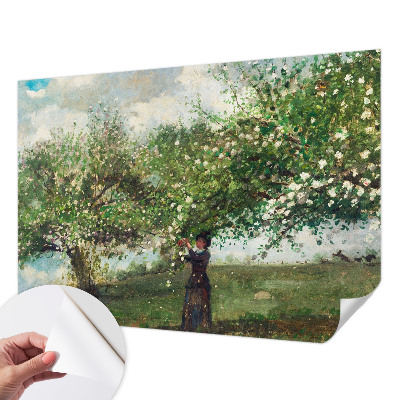 Tapeta fotograficzna samoprzylepna Tapeta fotograficzna samoprzylepna