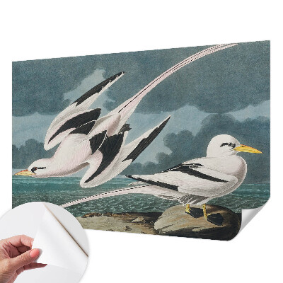 Fototapeta samoprzylepna z nadrukiem Ptaki nad morzem