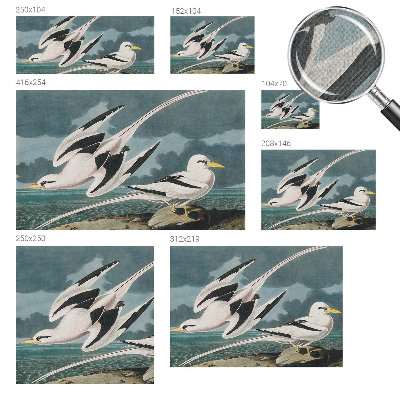 Fototapeta samoprzylepna z nadrukiem Fototapeta samoprzylepna z nadrukiem