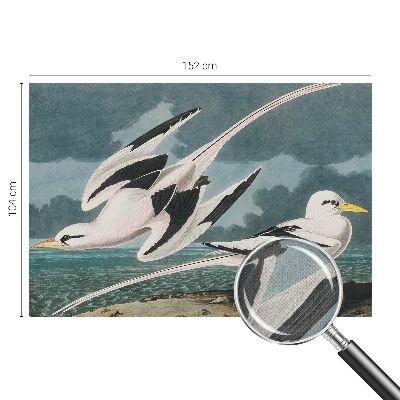 Fototapeta samoprzylepna z nadrukiem Fototapeta samoprzylepna z nadrukiem