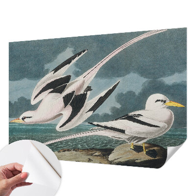 Fototapeta samoprzylepna z nadrukiem Fototapeta samoprzylepna z nadrukiem