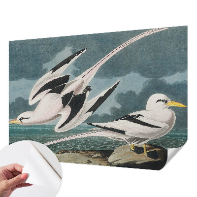 Fototapeta samoprzylepna z nadrukiem Fototapeta samoprzylepna z nadrukiem