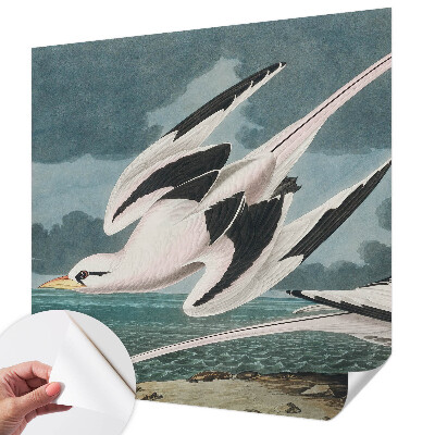 Fototapeta samoprzylepna z nadrukiem Fototapeta samoprzylepna z nadrukiem