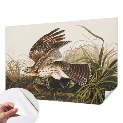 Fototapeta samoprzylepna do sypialni Skrzydlate piękno