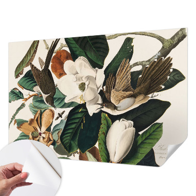 Fototapeta na ścianę z motywem ptaków i magnolii