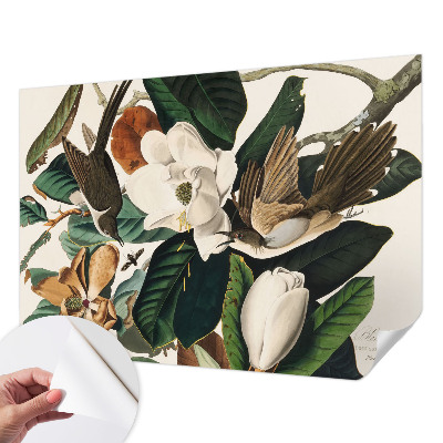 Fototapeta na ścianę z motywem ptaków i magnolii
