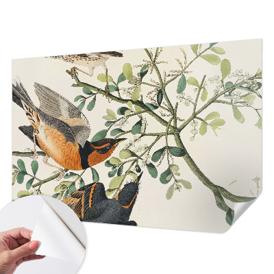 Fototapeta na ścianę Barwne ptaki