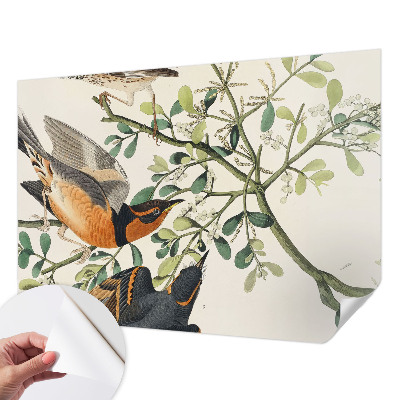 Fototapeta na ścianę Fototapeta na ścianę