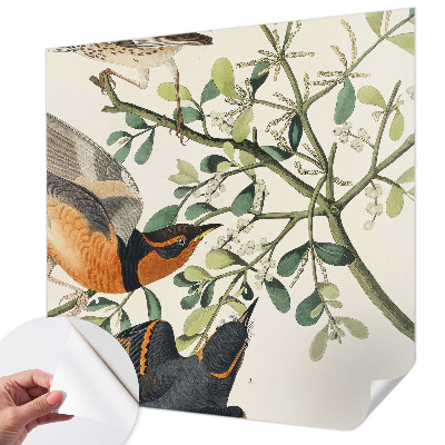 Fototapeta na ścianę Fototapeta na ścianę