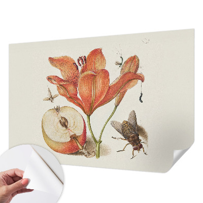 Fototapeta na ścianę z botaniczną ilustracją