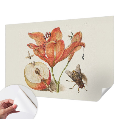 Fototapeta na ścianę z botaniczną ilustracją