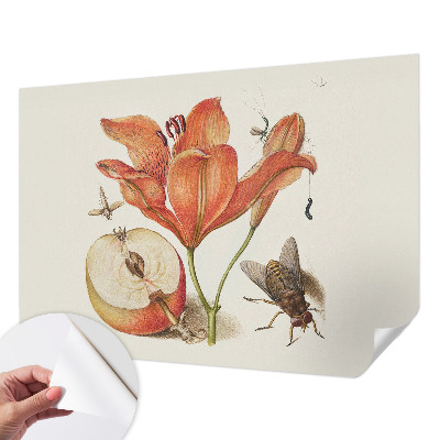 Fototapeta na ścianę z botaniczną ilustracją