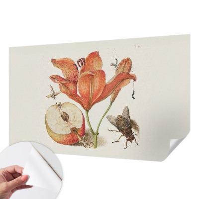 Fototapeta na ścianę z botaniczną ilustracją