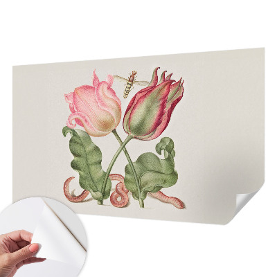 Fototapeta samoprzylepna z nadrukiem Fototapeta samoprzylepna z nadrukiem