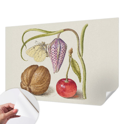 Tapeta fotograficzna Motyl rośliny