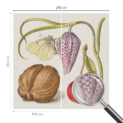 Tapeta fotograficzna Tapeta fotograficzna