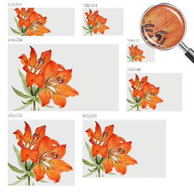 Tapeta fotograficzna samoprzylepna z motywem pomarańczowej lilii