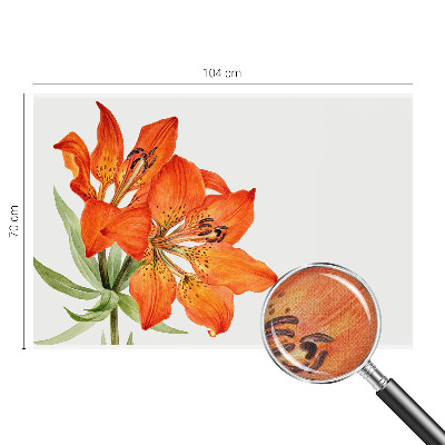 Tapeta fotograficzna samoprzylepna z motywem pomarańczowej lilii