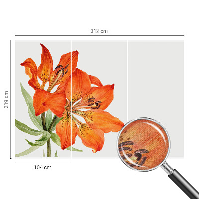 Tapeta fotograficzna samoprzylepna z motywem pomarańczowej lilii