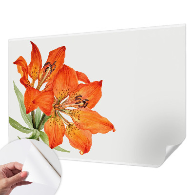 Tapeta fotograficzna samoprzylepna z motywem pomarańczowej lilii