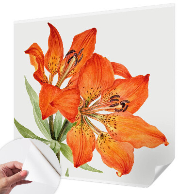 Tapeta fotograficzna samoprzylepna z motywem pomarańczowej lilii