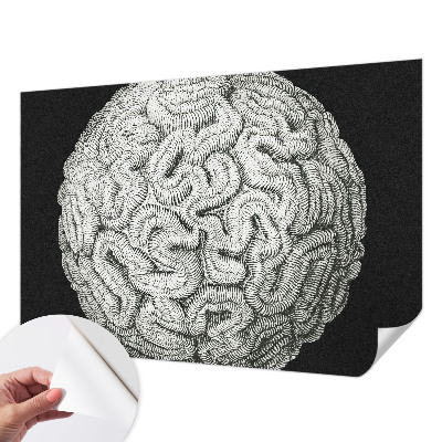 Tapeta fotograficzna Tapeta fotograficzna