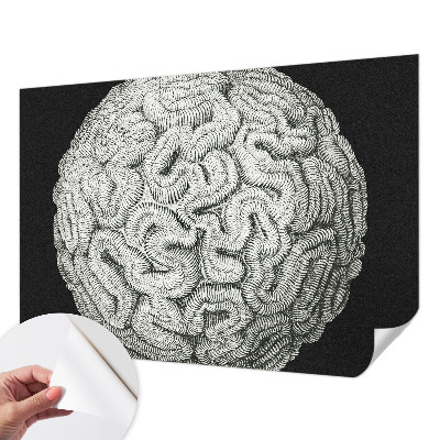 Tapeta fotograficzna Tapeta fotograficzna