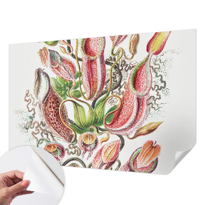 Dekoracyjna fototapeta na ścianę Roślinne detale