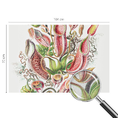 Dekoracyjna fototapeta na ścianę Dekoracyjna fototapeta na ścianę