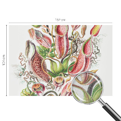 Dekoracyjna fototapeta na ścianę Dekoracyjna fototapeta na ścianę