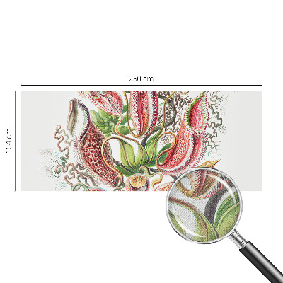 Dekoracyjna fototapeta na ścianę Dekoracyjna fototapeta na ścianę