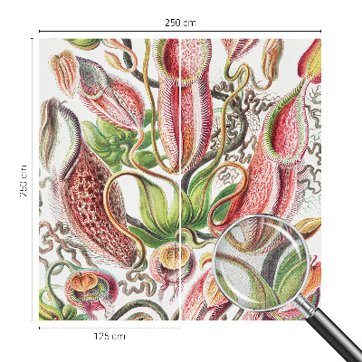 Dekoracyjna fototapeta na ścianę Dekoracyjna fototapeta na ścianę