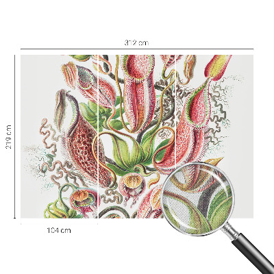 Dekoracyjna fototapeta na ścianę Dekoracyjna fototapeta na ścianę