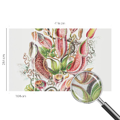 Dekoracyjna fototapeta na ścianę Dekoracyjna fototapeta na ścianę