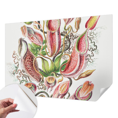 Dekoracyjna fototapeta na ścianę Dekoracyjna fototapeta na ścianę