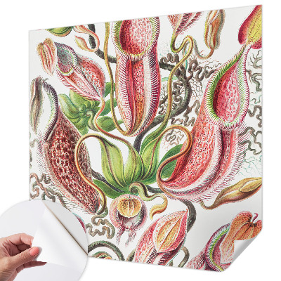 Dekoracyjna fototapeta na ścianę Dekoracyjna fototapeta na ścianę