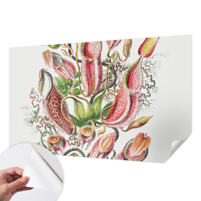 Dekoracyjna fototapeta na ścianę Dekoracyjna fototapeta na ścianę