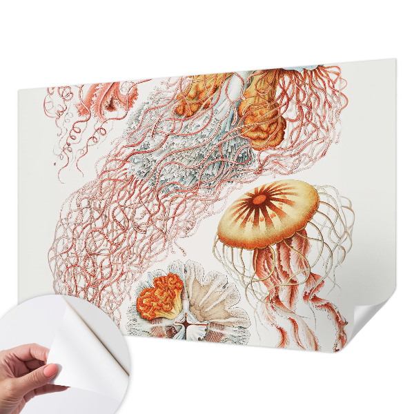 Fototapeta samoprzylepna do sypialni z motywem fantazyjnych meduz