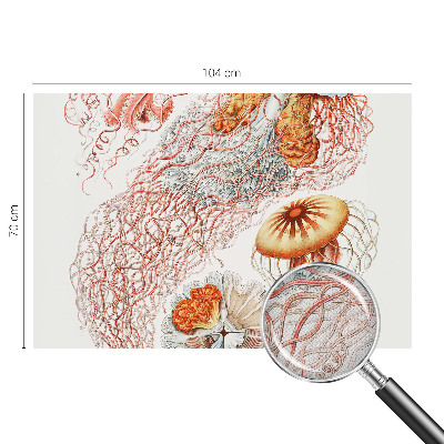 Fototapeta samoprzylepna do sypialni z motywem fantazyjnych meduz