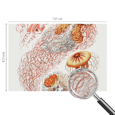 Fototapeta samoprzylepna do sypialni z motywem fantazyjnych meduz